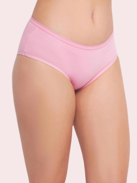 48 Pack of Womens Panties in Wholesale