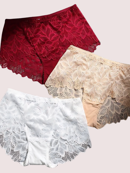 Ladies High Waist Boxer Briefs Pack (of 4)