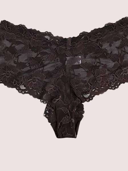 Sensual Brown Lace 2 Piece Panties