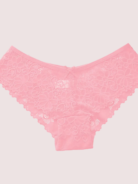 Ladies' Hipster Brief Floral Lace Undies
