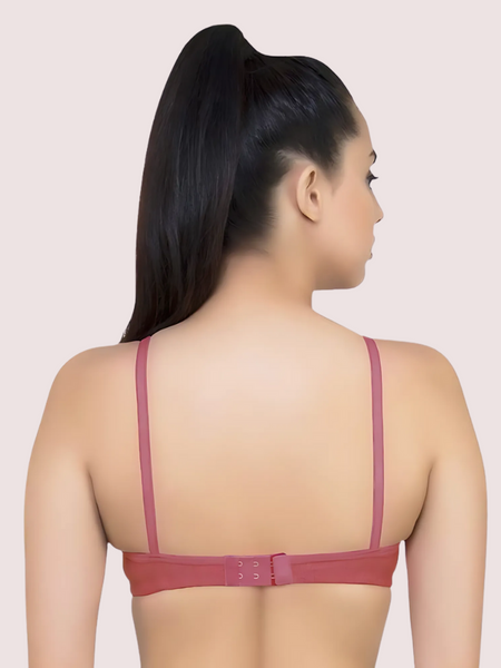 Lightly Padded classic comfort bra pack of 2