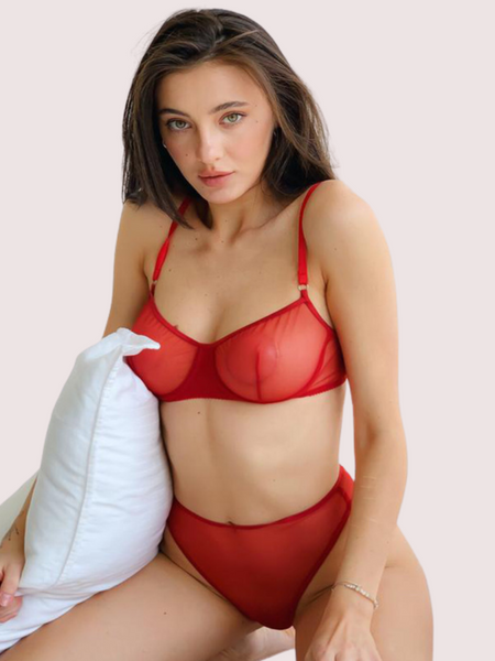 Scarlet Temptation See-Through Lingerie Set