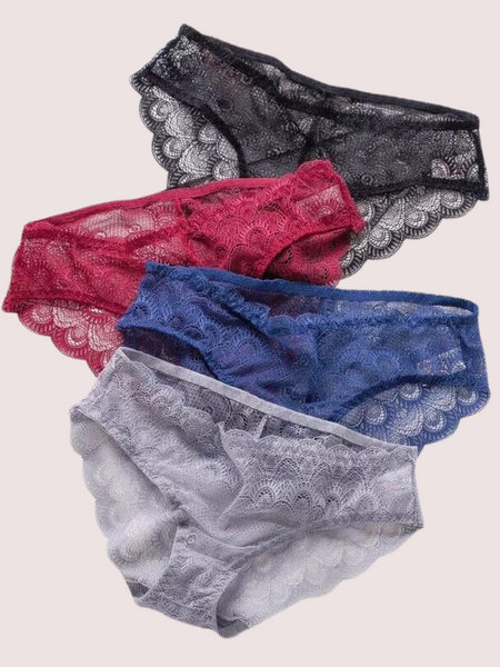 Sexy Sheer Lace Bikini Brief Undies Pack (of 4)