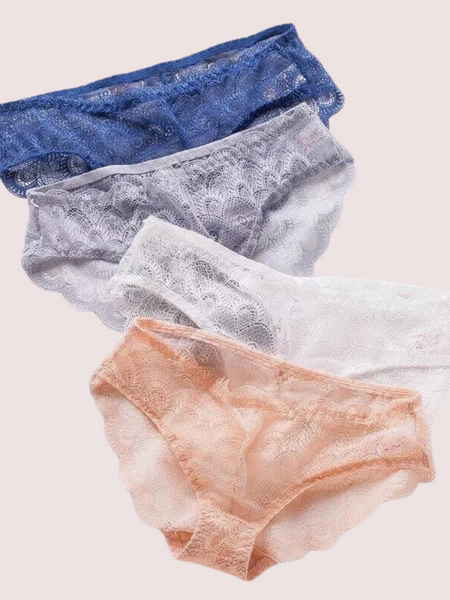 Sexy Sheer Lace Bikini Brief Undies Pack (of 4)