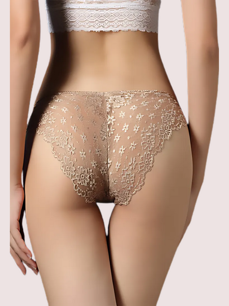Ladies Best Transparent Lace Hipster Brief Pk Of 2
