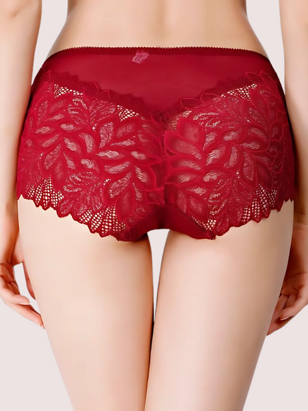 Ladies High Waist Boxer Briefs Pack (of 4)